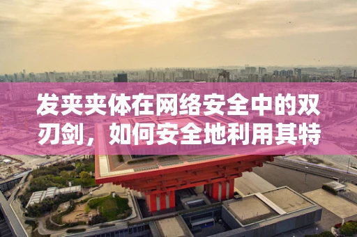 发夹夹体在网络安全中的双刃剑，如何安全地利用其特性？