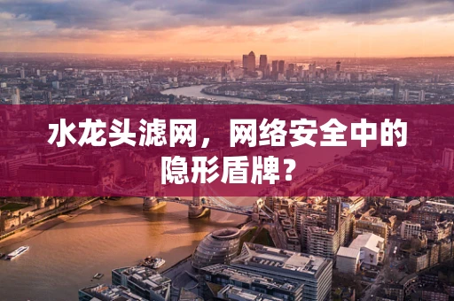 水龙头滤网，网络安全中的隐形盾牌？