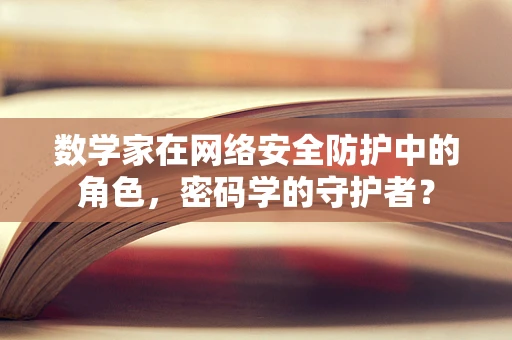数学家在网络安全防护中的角色，密码学的守护者？