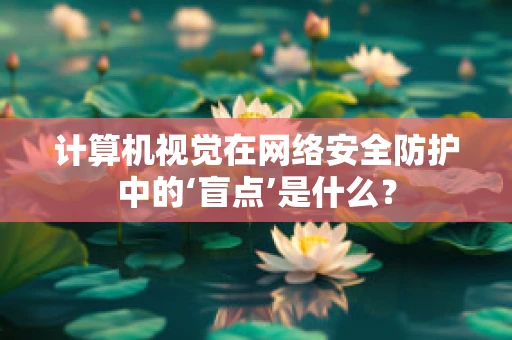 计算机视觉在网络安全防护中的‘盲点’是什么？