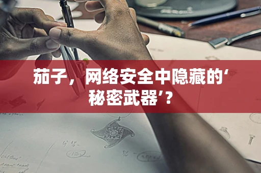 茄子，网络安全中隐藏的‘秘密武器’？