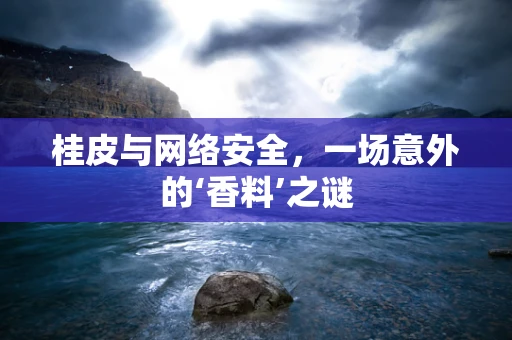 桂皮与网络安全，一场意外的‘香料’之谜