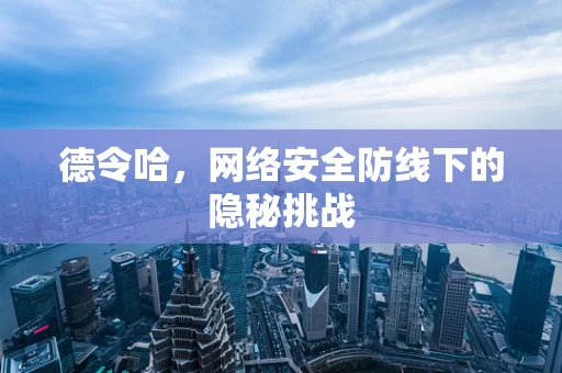 德令哈，网络安全防线下的隐秘挑战