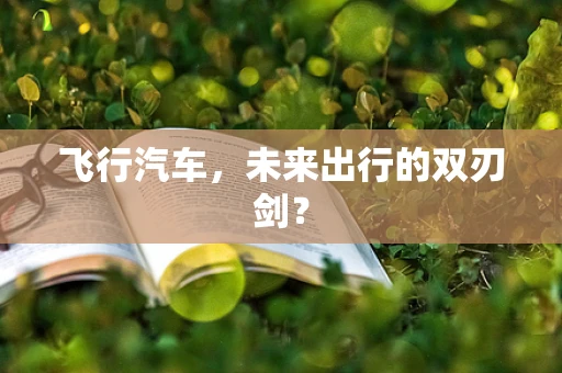 飞行汽车，未来出行的双刃剑？