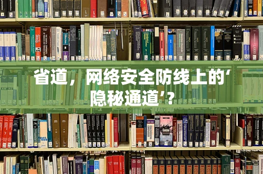 省道，网络安全防线上的‘隐秘通道’？