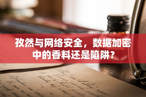 孜然与网络安全，数据加密中的香料还是陷阱？