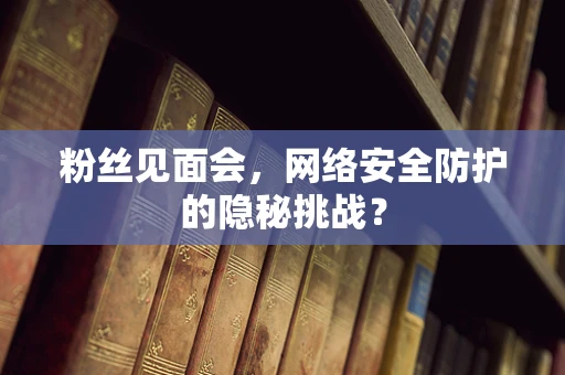 粉丝见面会，网络安全防护的隐秘挑战？