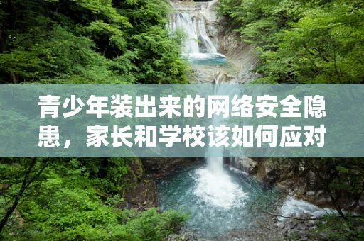 青少年装出来的网络安全隐患，家长和学校该如何应对？