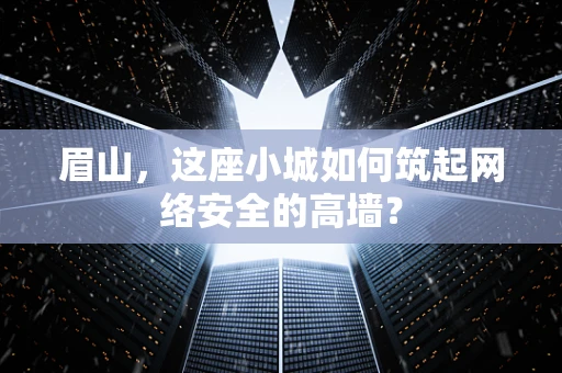 眉山，这座小城如何筑起网络安全的高墙？