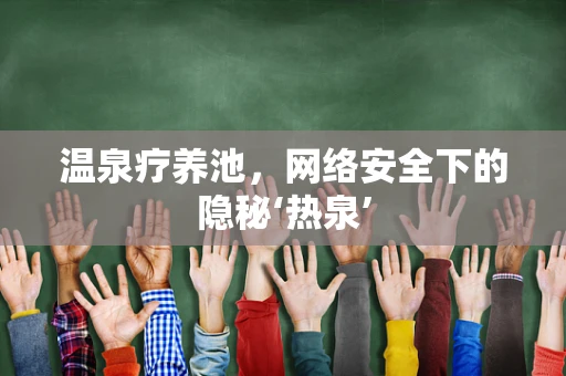 温泉疗养池，网络安全下的隐秘‘热泉’