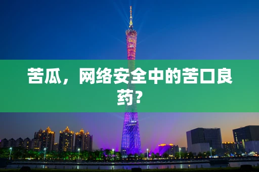 苦瓜，网络安全中的苦口良药？