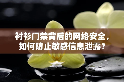 衬衫门禁背后的网络安全，如何防止敏感信息泄露？