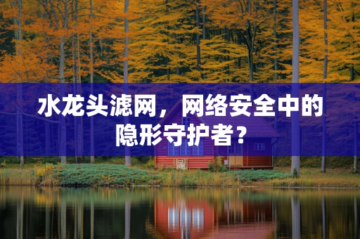 水龙头滤网，网络安全中的隐形守护者？