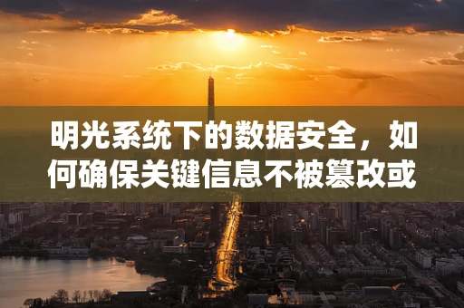 明光系统下的数据安全，如何确保关键信息不被篡改或泄露？