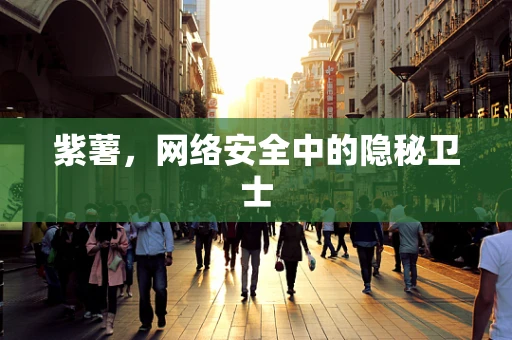 紫薯，网络安全中的隐秘卫士