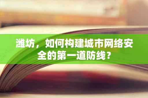 潍坊，如何构建城市网络安全的第一道防线？