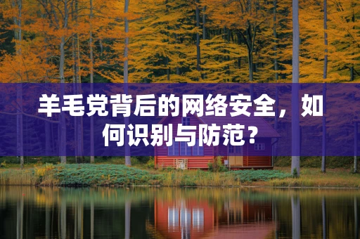 羊毛党背后的网络安全，如何识别与防范？