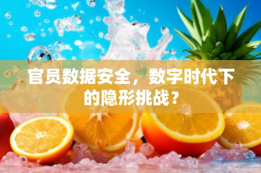 官员数据安全，数字时代下的隐形挑战？