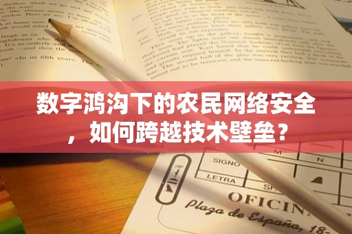 数字鸿沟下的农民网络安全，如何跨越技术壁垒？