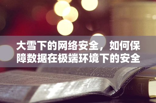 大雪下的网络安全，如何保障数据在极端环境下的安全？