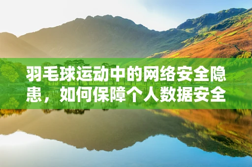 羽毛球运动中的网络安全隐患，如何保障个人数据安全？