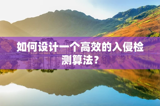 如何设计一个高效的入侵检测算法？