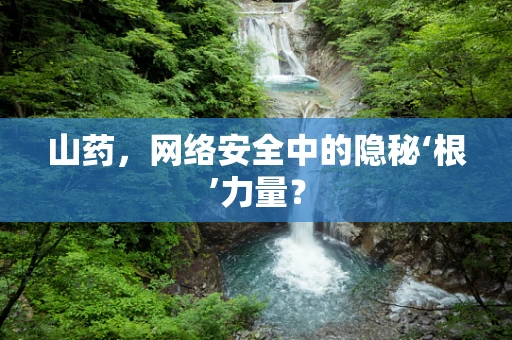 山药，网络安全中的隐秘‘根’力量？