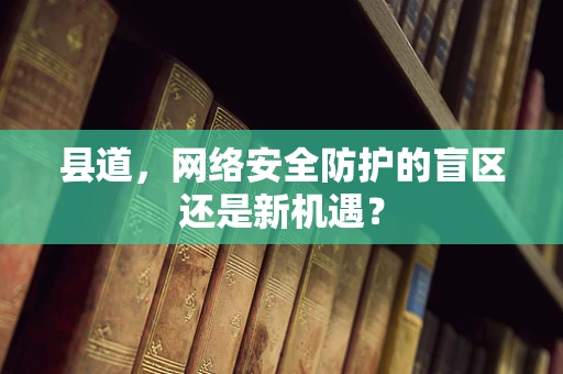 县道，网络安全防护的盲区还是新机遇？