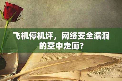 飞机停机坪，网络安全漏洞的空中走廊？