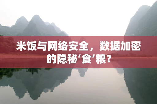 米饭与网络安全，数据加密的隐秘‘食’粮？