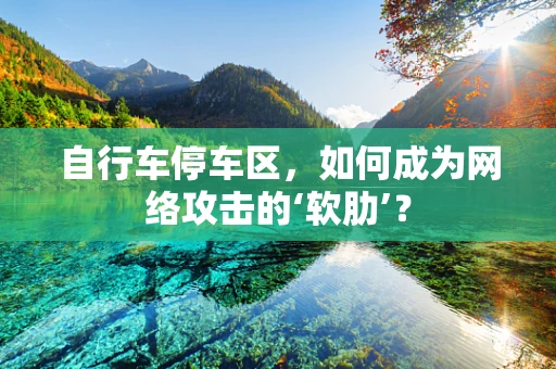 自行车停车区，如何成为网络攻击的‘软肋’？