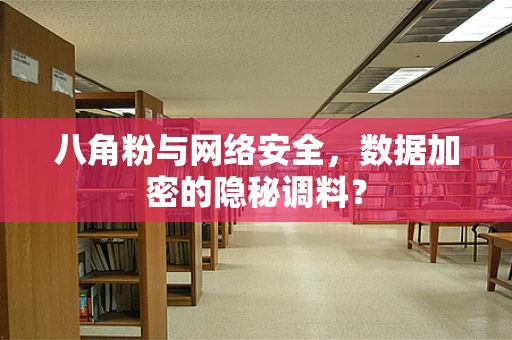 八角粉与网络安全，数据加密的隐秘调料？