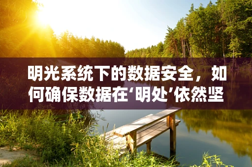 明光系统下的数据安全，如何确保数据在‘明处’依然坚不可摧？