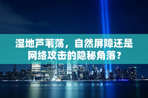 湿地芦苇荡，自然屏障还是网络攻击的隐秘角落？