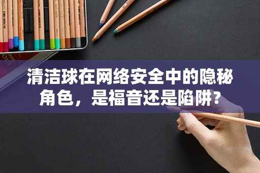 清洁球在网络安全中的隐秘角色，是福音还是陷阱？