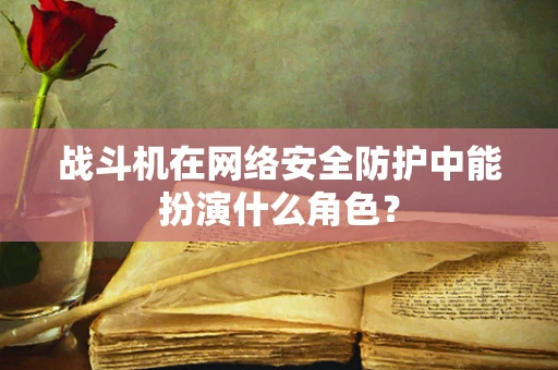 战斗机在网络安全防护中能扮演什么角色？
