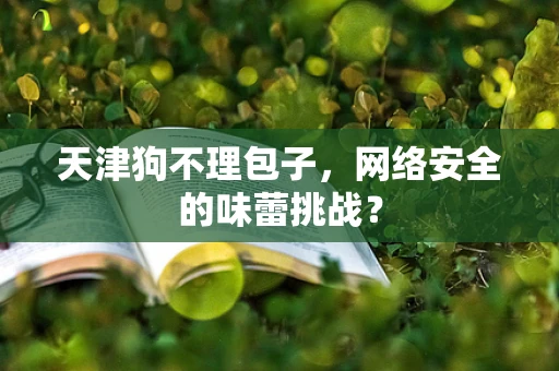 天津狗不理包子，网络安全的味蕾挑战？