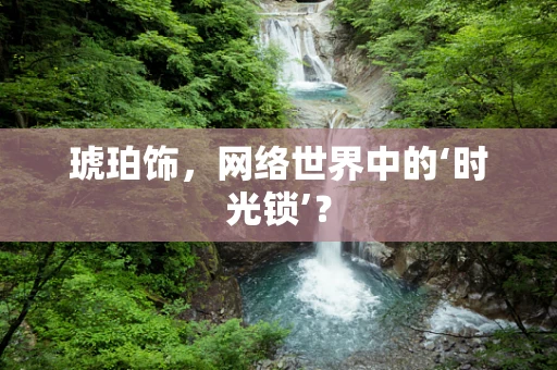 琥珀饰，网络世界中的‘时光锁’？