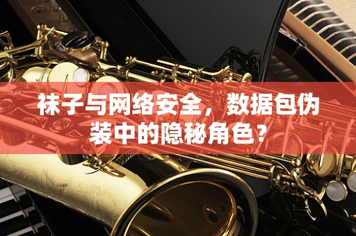 袜子与网络安全，数据包伪装中的隐秘角色？
