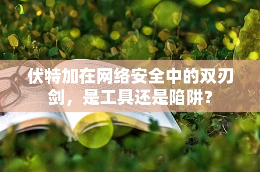 伏特加在网络安全中的双刃剑，是工具还是陷阱？