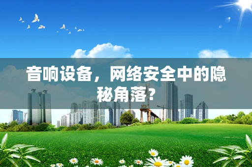 音响设备，网络安全中的隐秘角落？