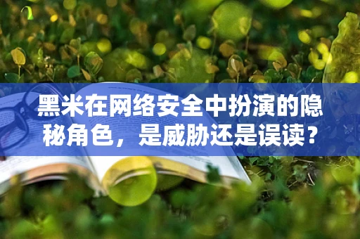 黑米在网络安全中扮演的隐秘角色，是威胁还是误读？
