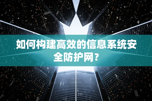 如何构建高效的信息系统安全防护网？