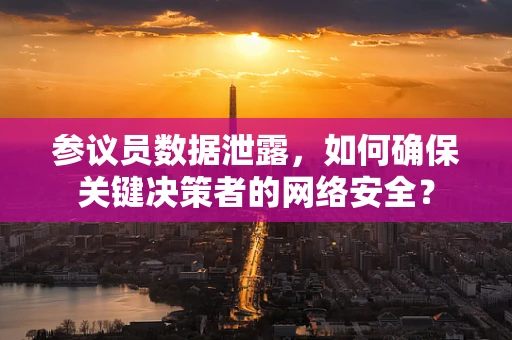 参议员数据泄露，如何确保关键决策者的网络安全？