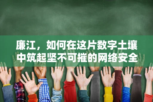 廉江，如何在这片数字土壤中筑起坚不可摧的网络安全防线？